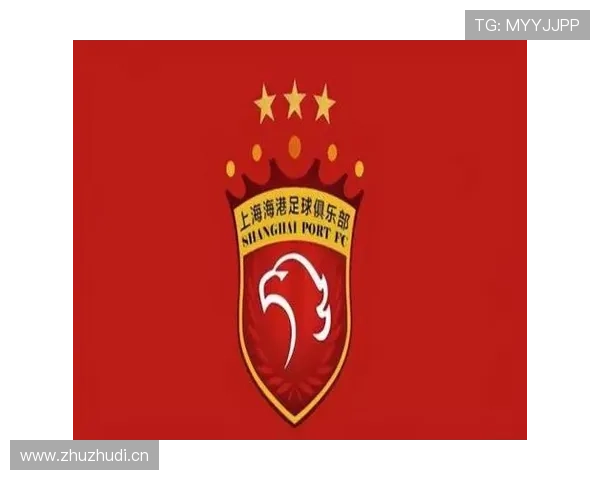 外援主导进攻：上海申花是否过度依赖核心输出？